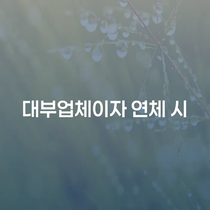 캐피탈대출 연체 시 연체 채무 신속해결방법 관련