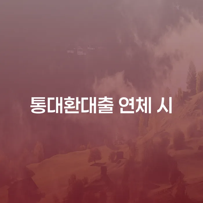 개인회생기각시 카드빚 연체 실제사례