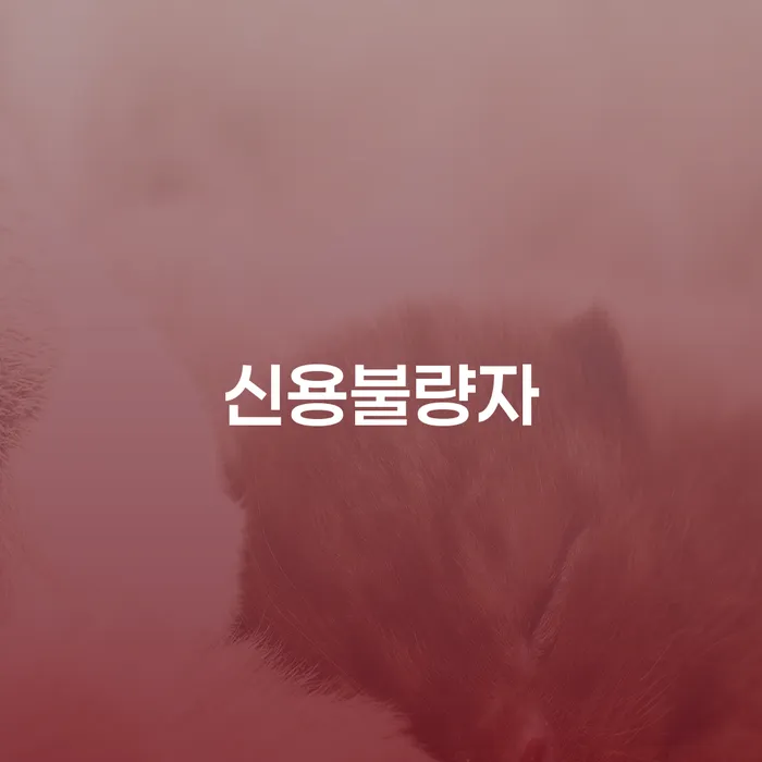 신용불량자회복 연체 채무 신속해결방법 미리알기