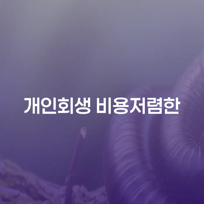 개인파산개인회생 채무조정제도을 이용하여 해결 가능합니다.