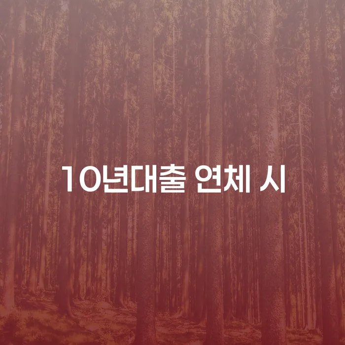 남양주시 신용카드대금 연체 추심 대응법 탕감을진행