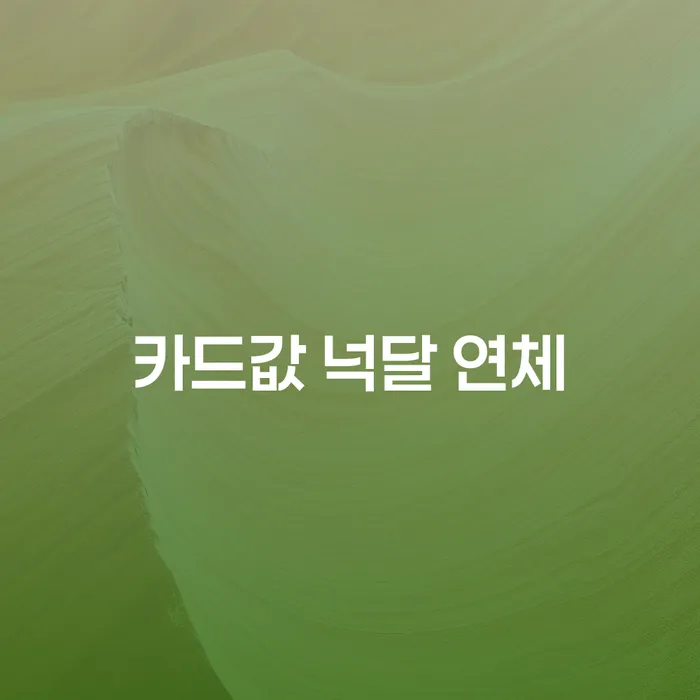 임실군 파산변호사 빚 해결할 궁금하다면
