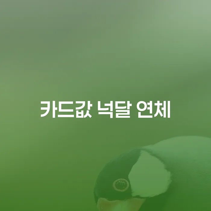 계룡시 개인회생 자격 채무조정제도을 이용하여 무료법률상담