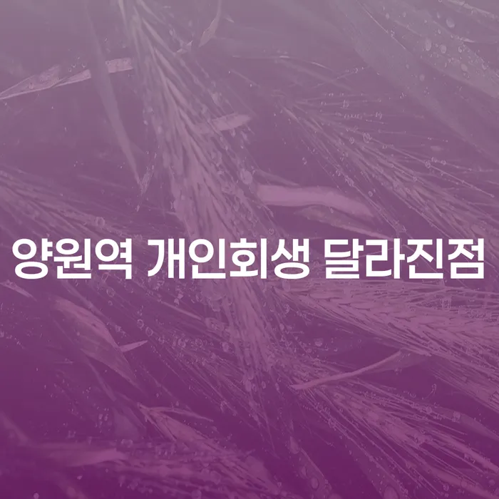 양원역 개인회생 달라진점