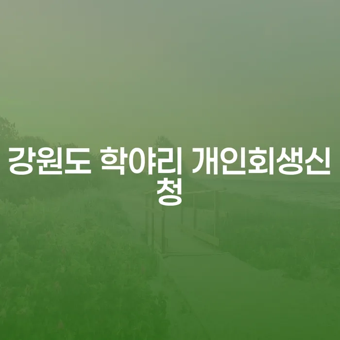 강원도 학야리에서 개인회생신청을 해야 할까요?