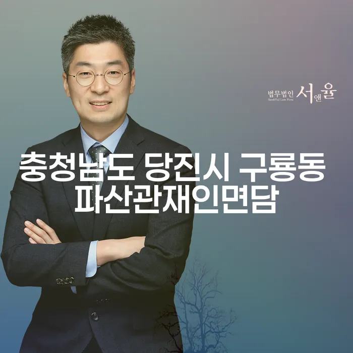 충청남도 당진시 구룡동 파산관재인면담, 어떻게 준비해야 할까요?