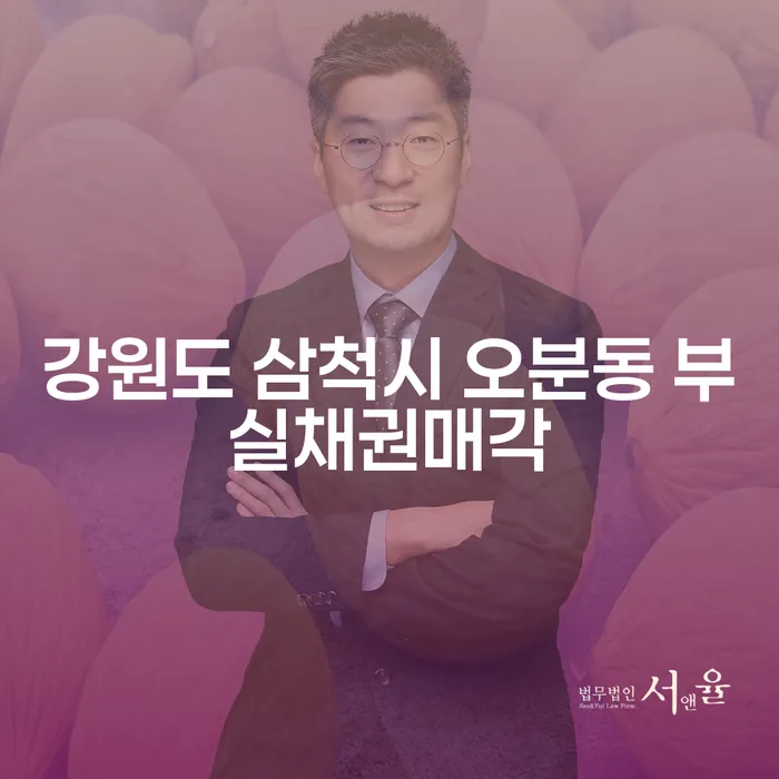 강원도 삼척시 오분동 부실채권매각과 개인회생 직접 신청, 어떻게 해야 할까요?
