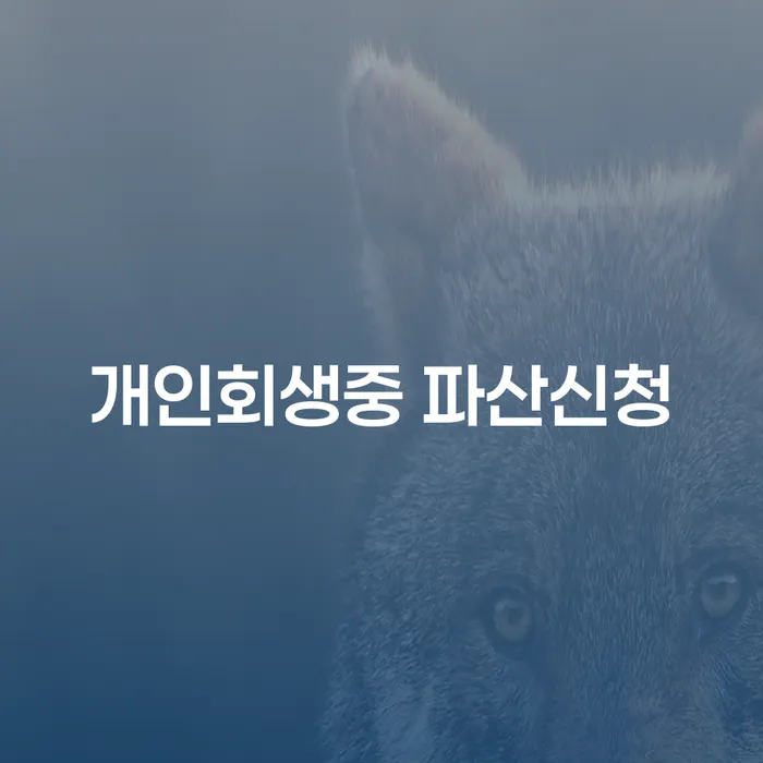 개인회생 중 파산 신청, 가능할까? 성공적인 재기를 위한 가이드