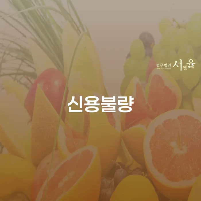신용불량, 개인회생과 파산을 통한 새로운 시작이 가능한가요?