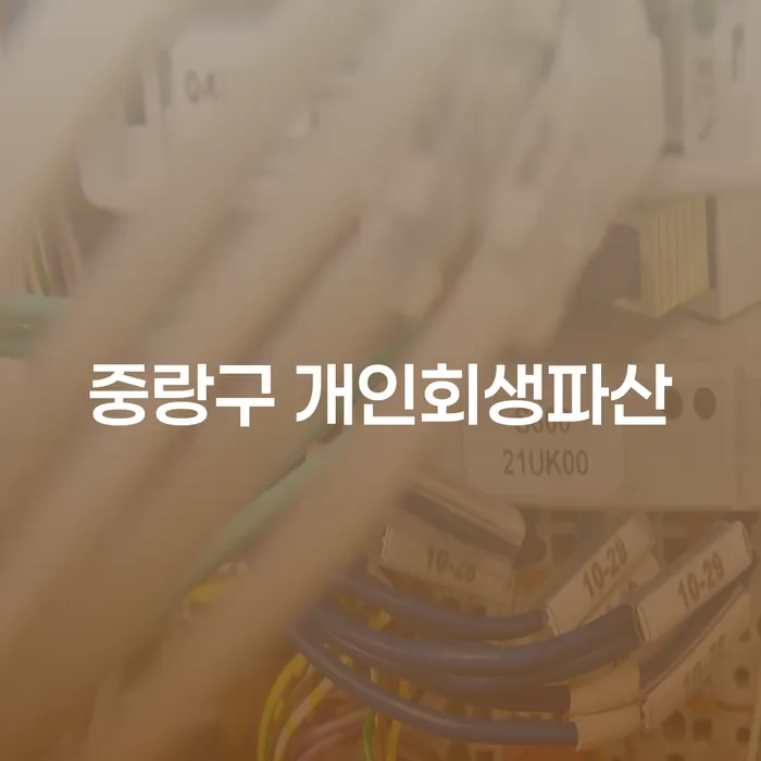 중랑구에서 개인회생과 파산, 어떻게 결정해야 할까요?