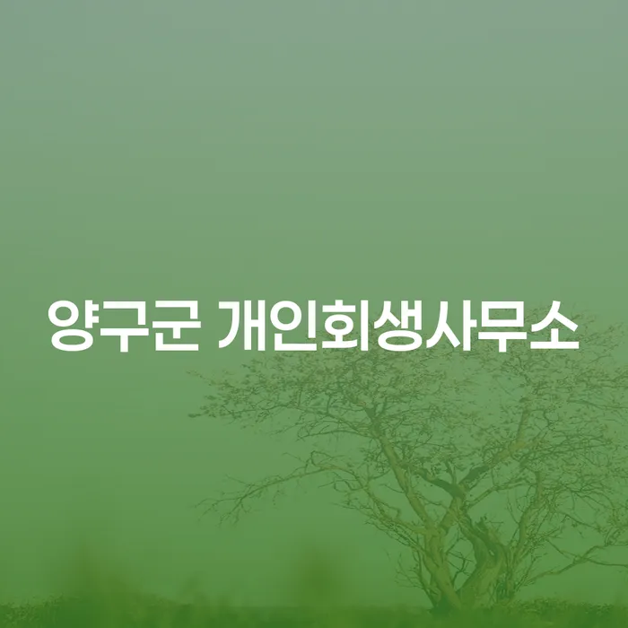 양구군에서 개인회생을 통해 국세면책을 받을 수 있는 방법은?
