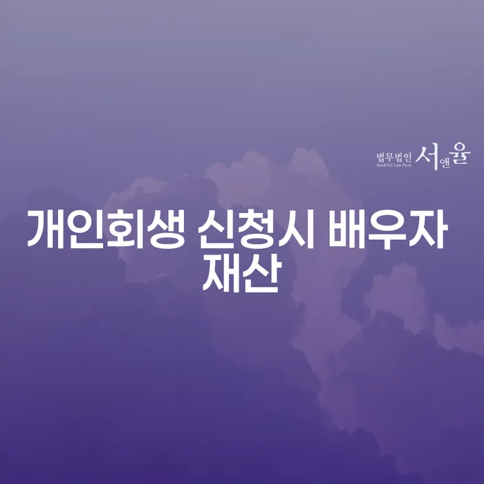 개인회생 신청할 때, 배우자 재산은 어떻게 처리되나요?